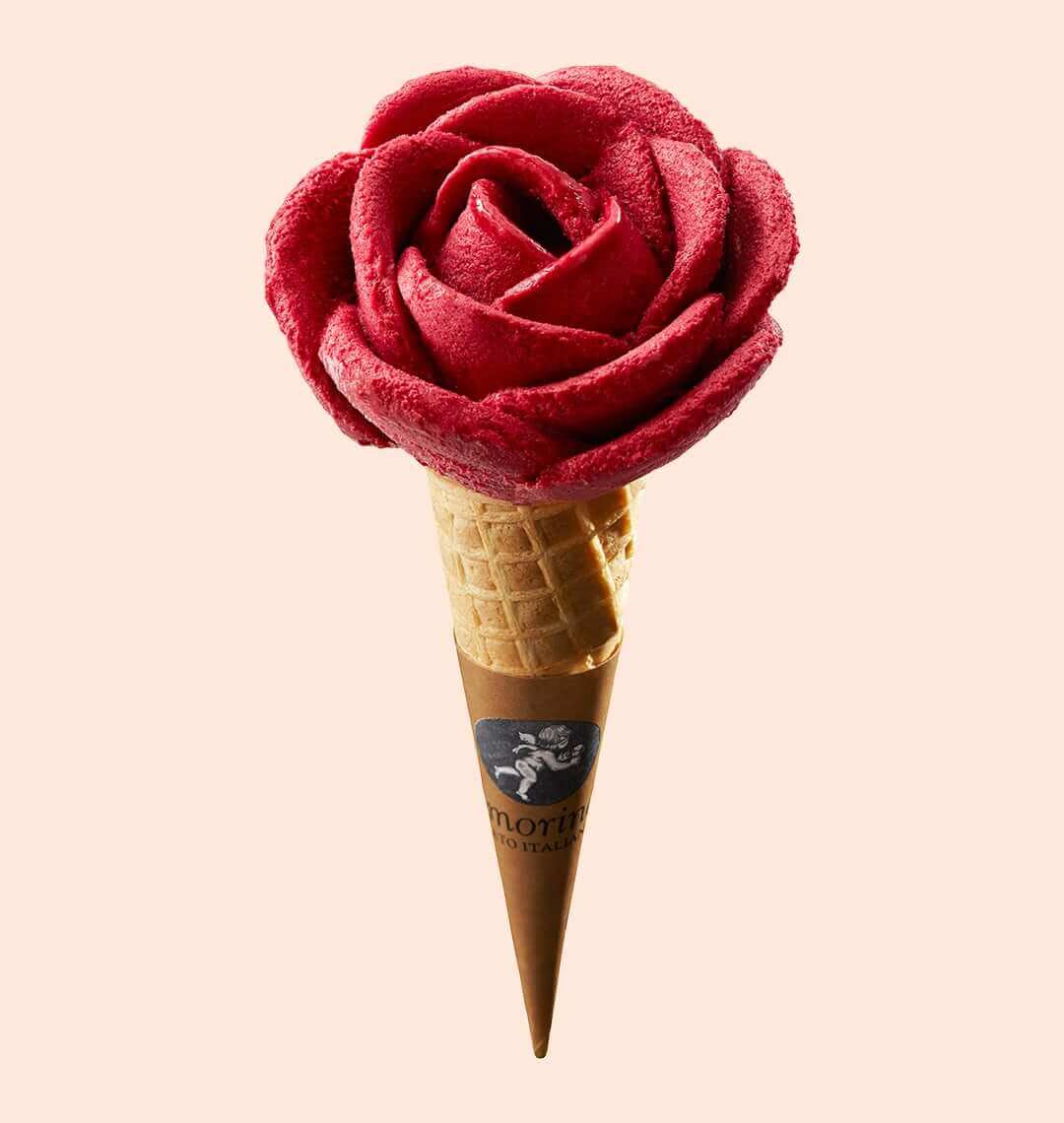 Ice cream cone, organic blackcurrant flavor