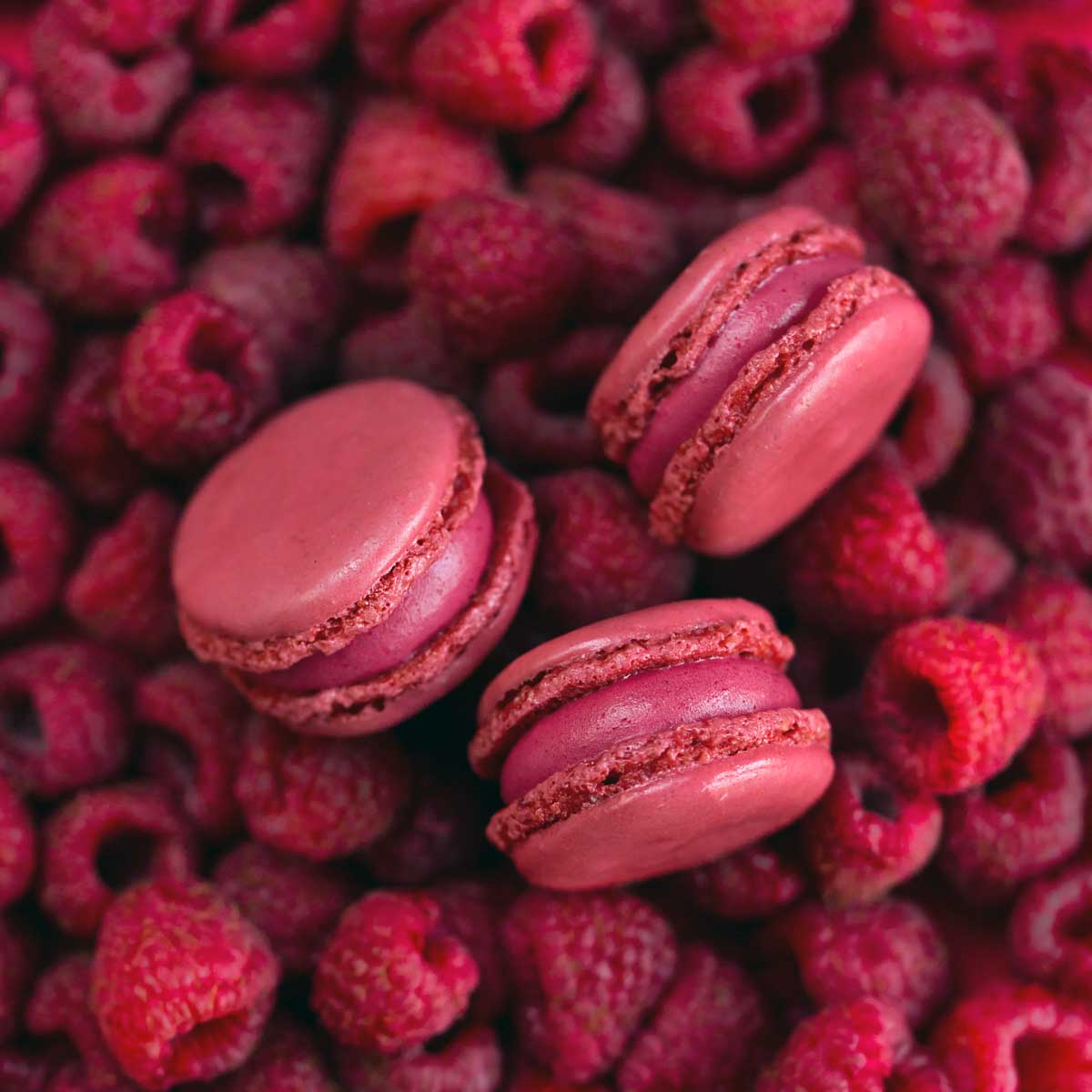 macaron framboise sur des framboises
