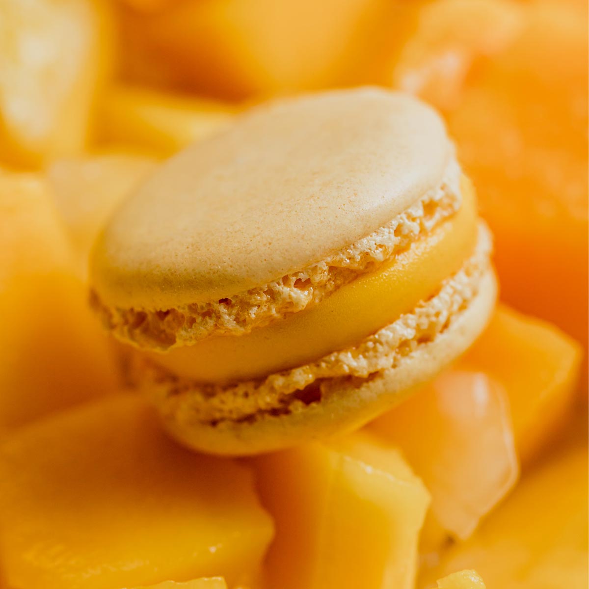 macaron glacé à la mangue sur des morceaux de mangue