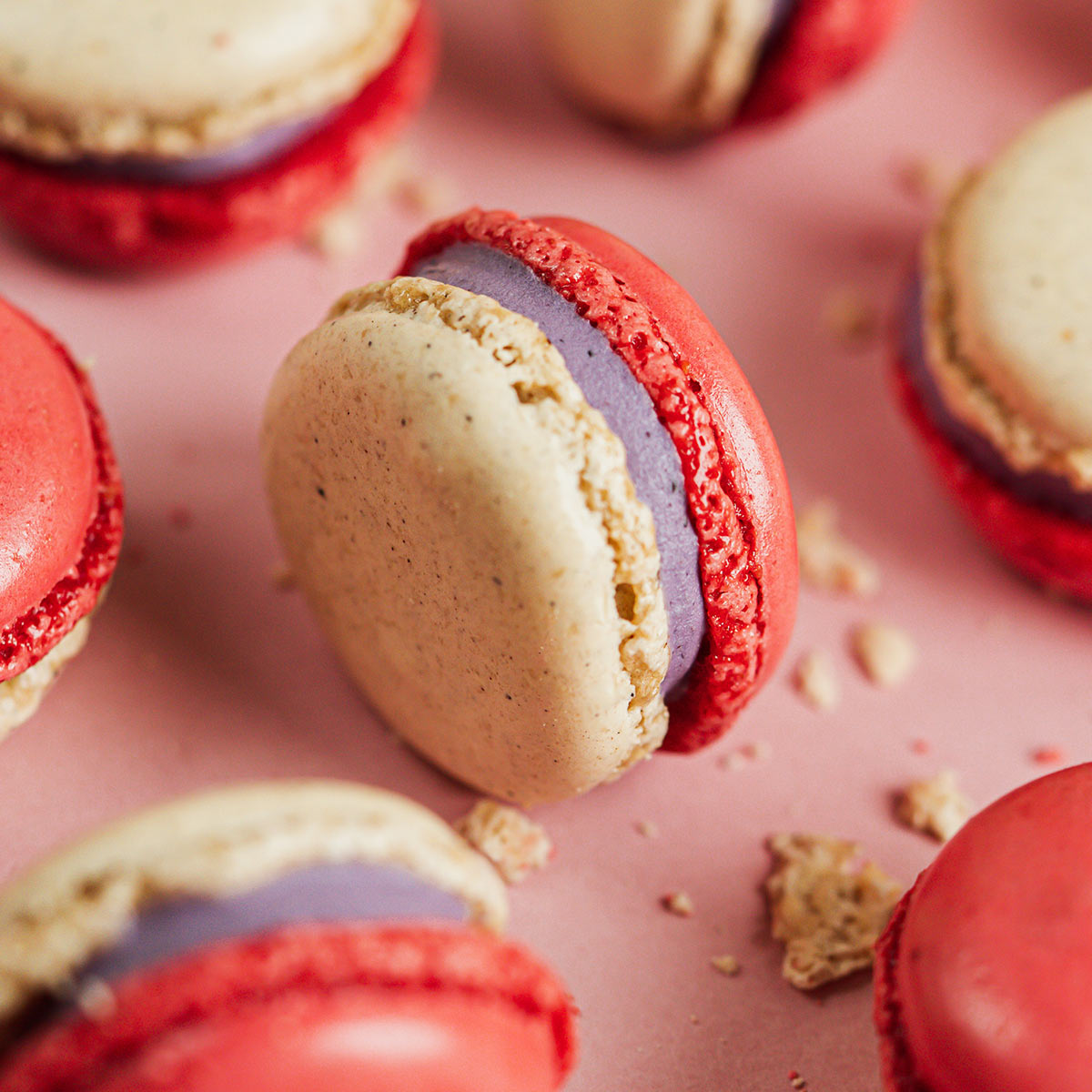 macaron Cheesecake myrtille