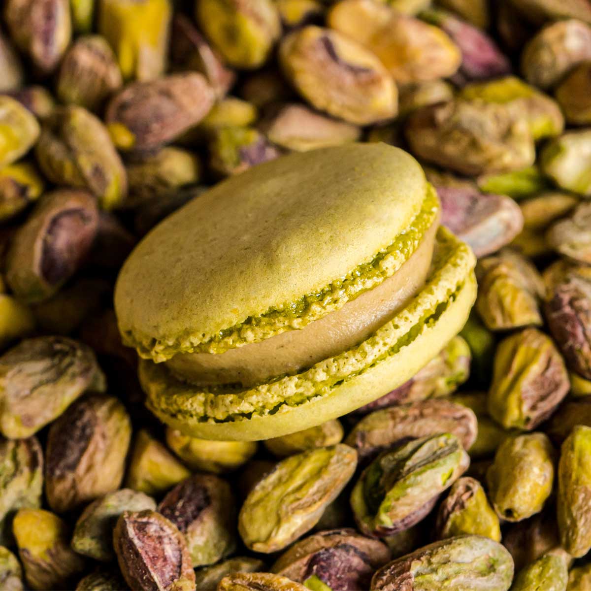 macaron glacé à la pistache sur des pistaches