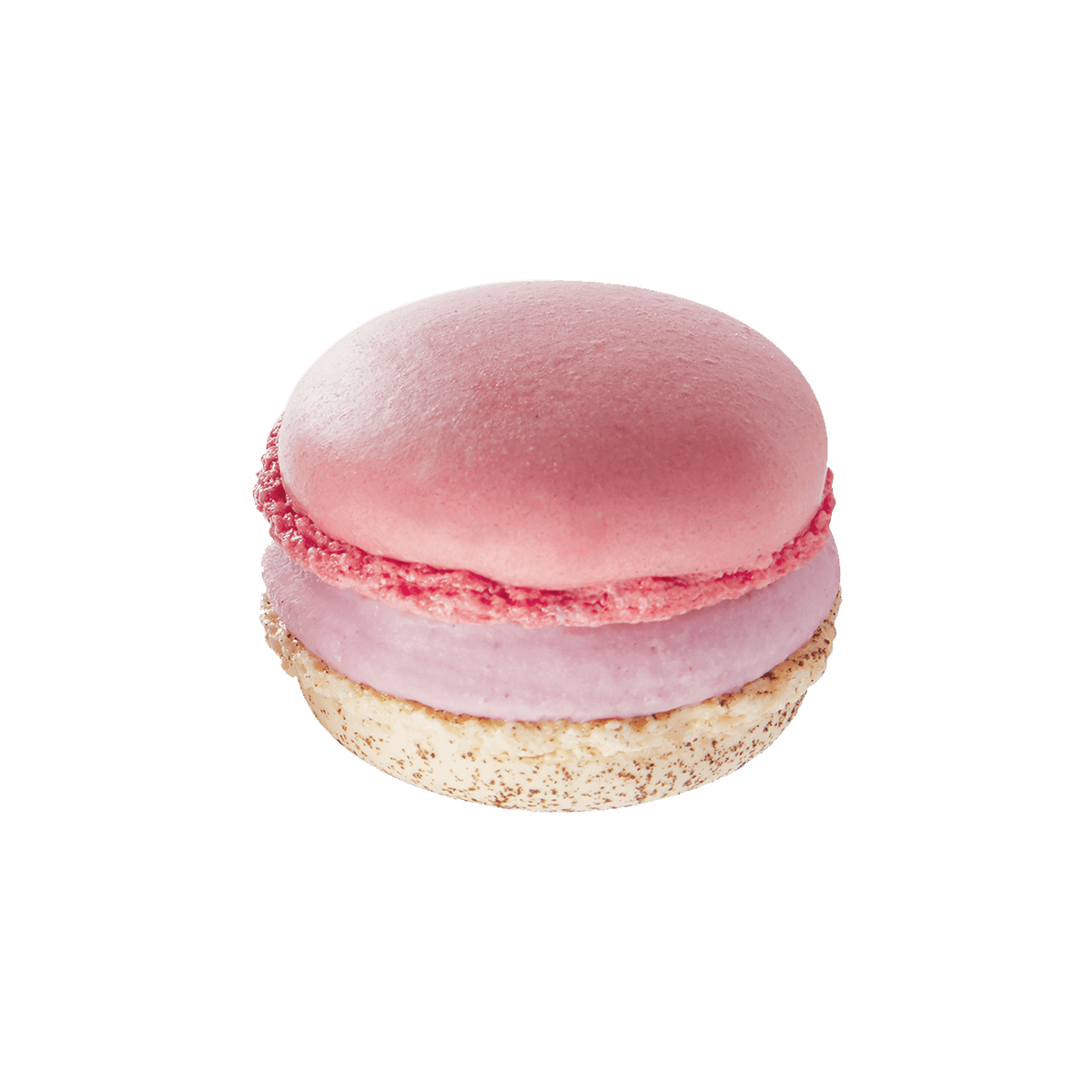 macaron glacé au Cheesecake et myrtille