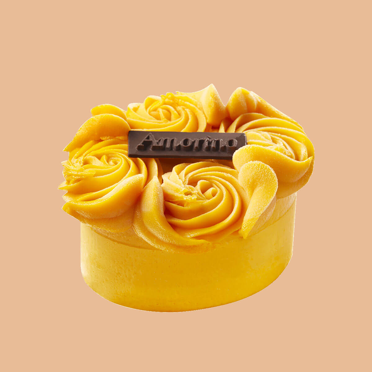 entremet stella